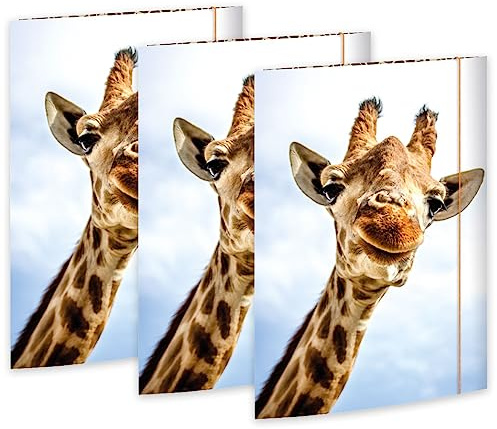 RNK 45359-3 – ritmapp Safari 310 x 440 mm, 3 stycken, DIN A3, med gummiförslutning