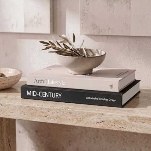 Livres décoratifs esthétiques – Lot de 2 boîtes élégantes pour améliorer votre table basse, bibliothèque ou décoration de cheminée – Beaux faux livres pour décoration d'intérieur moderne, rangement de