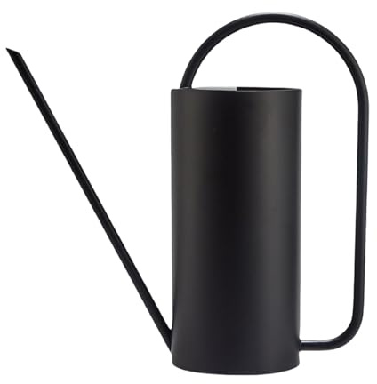 Innaffiatoio antiruggine per piante d'appartamento da 1,5 l, struttura in metallo con design moderno e beccuccio lungo preciso per piantare, annaffiatoio in acciaio inox