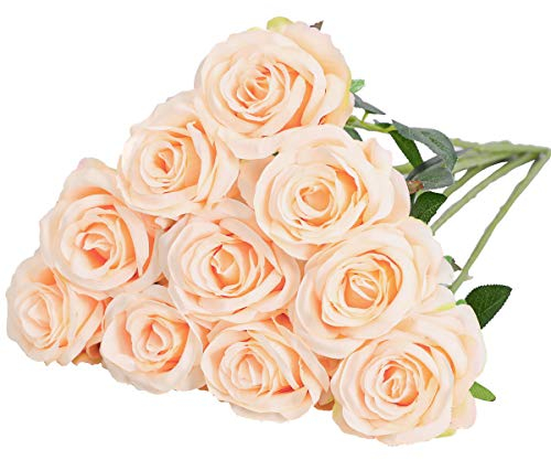 Nubry künstliche Seidenrose Blume einzigen Stiel lebensechte gefälschte Rose für Hochzeit Blumenstrauß Blumenarrangements Home Party Centerpiece Dekoration, 10pcs (Champagner)