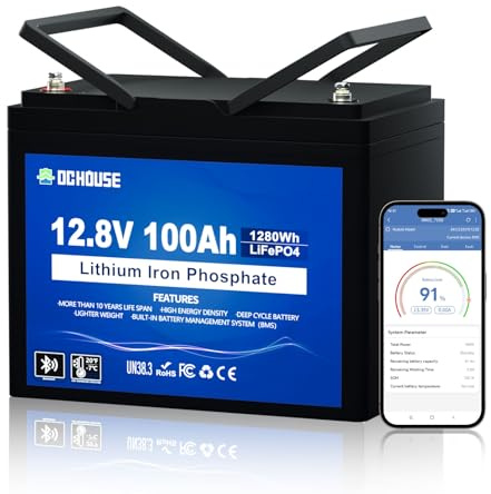 DCHOUSE 12V 100Ah Bluetooth Lithium Batterie mit Low Temperature Schutz | BMS 100A Schutz, 1280Wh LiFePo4 Tiefzyklus Batterie, für Wohnmobile, Wohnwagen, Boote, Camping und Solaranlagen