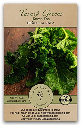 Gaea's Blessing Seeds - Turnip Seeds - Seven Top Non-GMO Seeds with Easy to Follow Planting Instructions - Heirloom Germination Rate 91%