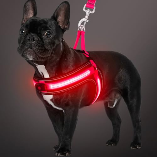 BiPawTi LED Hundegeschirr für Kleine Hunde, 3 Lichtmodi Beleuchtetes Leuchtgeschirr Hund Aufladbar, Leuchtet Im Dunkeln Leuchtendes Geschirr für Nachtspaziergänge, Camping mit Hund - Rosa (Rotlicht)