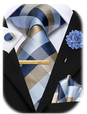 Hi-Tie Blue Champange Ties for Men Silk Mens Ties Necktie and Pocket Square Cufflinks Lapel Pin Clip Pin Set for Wedding