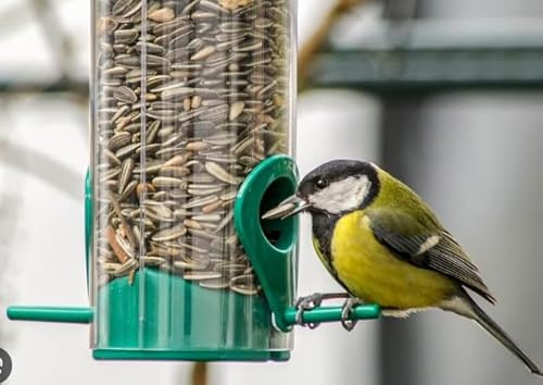 Italmix Semi di Girasole per Uccelli Selvatici, Mangime per Fringuelli, Passeri, Lucherini e Ciuffolotti, 1kg, Qualità Premium