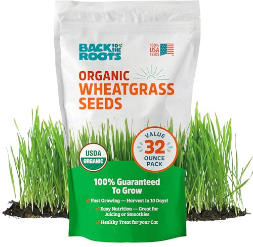 Back to the Roots Organic Wheatgrass Seeds – 2lb Non-GMO Value Pack; Great for Growing Nutritious Wheatgrass, Also Catgrass (Natural Hairball Remedy for Cats)
