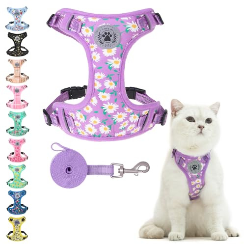 BEAUTYZOO Katzengeschirr und Leine, Set zum Spazierengehen, ausbruchsicher, Halsfreigabe, verstellbares Geschirr für Kätzchen, Welpen, kleine, kleines Katzengeschirr für Katzen, Jungen und Mädchen