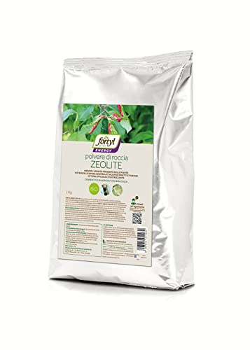 COPYR | Fortyl Zeolite Polvere di roccia da 1 kg