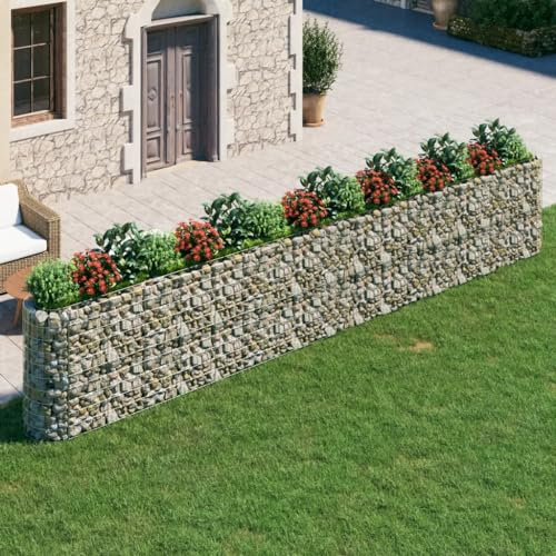 Baziroo Jardinière surélevée gabion en fer galvanisé, 610 x 50 x 100 cm, argenté, pour fleurs, parterre de jardin, en pierre, potager surélevé, remplissage gabion, jardinière surélevée en métal