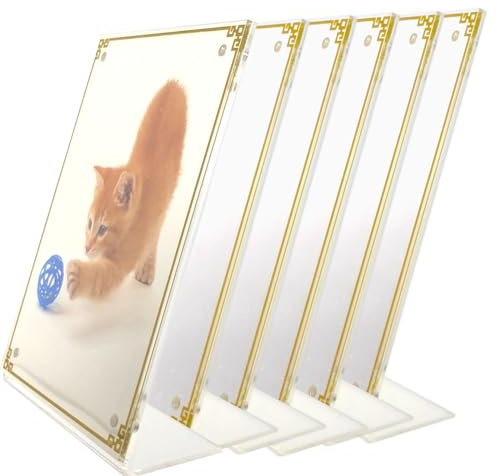 Ashoaza Cadre Photo en Acrylique 13 x 18 cm, Lot de 6, Aimantés avec Motif Doré, Magnétique Mural Transparent, Porte-Photos pour Tableau Photo