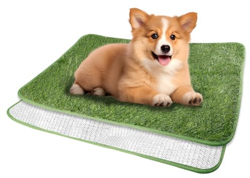 WIYETY Toilette per cani in erba artificiale, 40 x 60 cm, tappetino per addestramento cuccioli, impermeabile, lavabile, verde
