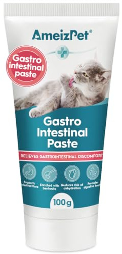 AmeizPet Pasta Gastrointestinale per Gatti, Supporto Gastrointestinale per la Salute Intestinale e la Flora Batterica, Integratore Digestivo per Gatto e Gattini, 100g (3.53 Oz)