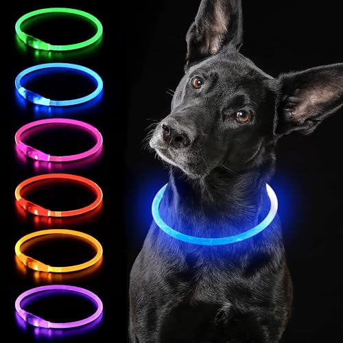 iTayga leuchthalsband Hund, USB-aufladbar und wasserdicht hundehalsband, verstellbare Länge, Sicherheitshalsband für Hunde und Katzen, 3 Modi, Blau