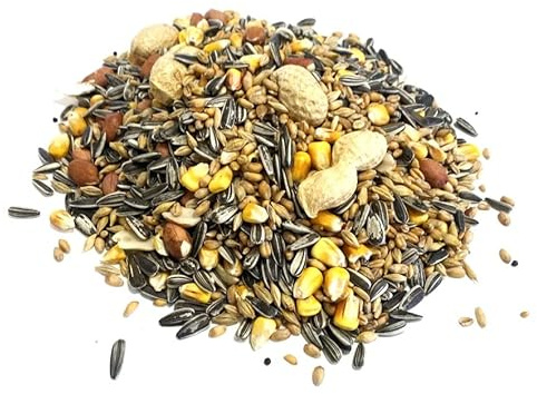 Maltbys' Stores 2.5kg Mixed Squirrel & Chipmunk Food [LGW] | Complete Mixed Food for Squirrels & Small Rodents