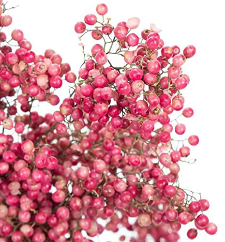 1 Bund - Pfefferbeeren – getrocknet in Rosa