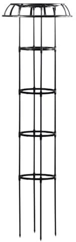 Enrejado de jardín para plantas trepadoras | Enrejado de frambuesa, enrejado de jardín para plantas trepadoras | Enrejado de arbusto de rosa en forma de frambuesa y paraguas, soporte de vid torre de