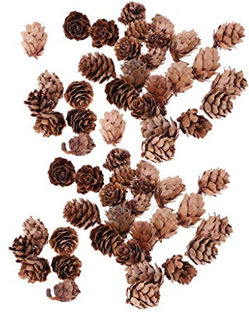 Unbekannt Lot de 60 mini pommes de pin séchées naturelles rustiques en vrac pour décoration de fête de Noël