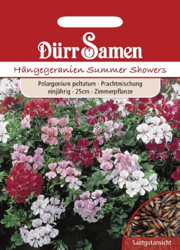 Dürr Samen 1158 Hängegeranie Summer Showers (Hängegeraniensamen)