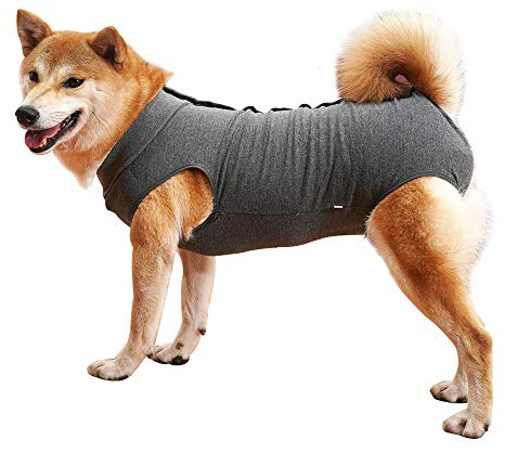 Dotoner Krankenhausanzug für Hunde und Katzen, Wundschutz für Welpen, medizinische Kleidung, nach Operationen, Ersatzkragen und Kegel (XXL, grau)