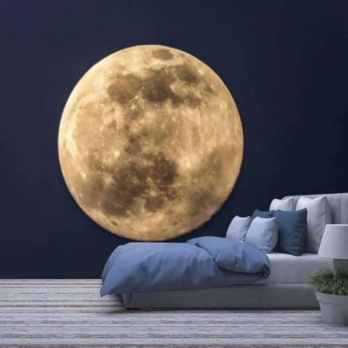 Papier Peint Photo 3D Papier Peint Salon Chambre Bureau Couloir Décoration Peintures Murales Décoration Murale Moderne - Affiches Murales Peel And Stick Wall Art Stickers 400 x 280 cm -777932-67933