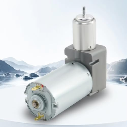 Toplionace Mini Compressore D'aria Senza Olio, Senza Manutenzione, 12V/24V, 25 L/Min（24V）