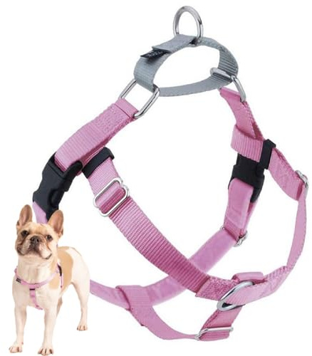2 Hounds Design Freedom No Pull Dog Harness, 1 inch LG, Rose