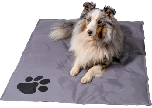 dobar® 60422 Kühlmatte für Hunde - Hundekühlmatte für Hund & Katze - selbstkühlende Matte für Haustiere - Hundedecke mit Kaltgel-Füllung - Kühldecke - 99,5 x 70 cm - Grau