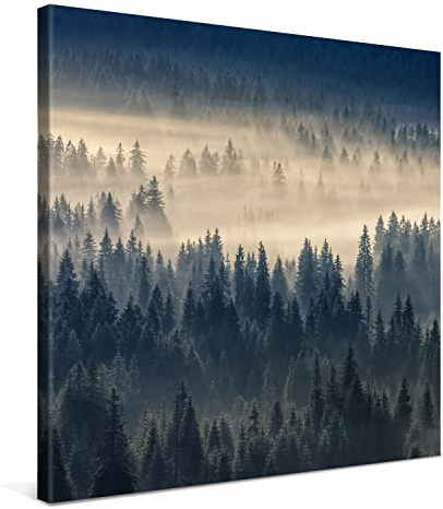 PICANOVA – Leinwandbild Nebliger Wald 80x80cm – Premium Leinwanddruck – Wandbild Kunstdruck Auf 2cm Holz-Keilrahmen Für Schlaf- Und Wohnzimmer Wanddekoration – Kollektion Wald