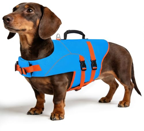 ASENKU Chaleco Salvavidas para Perros para Perros Pequeños, Medianos y Grandes, Arnés Ajustable + Asa de Transporte, Bandas Reflectantes, Ideal para Natación, Paseos en Barco y Actividades Acuáticas