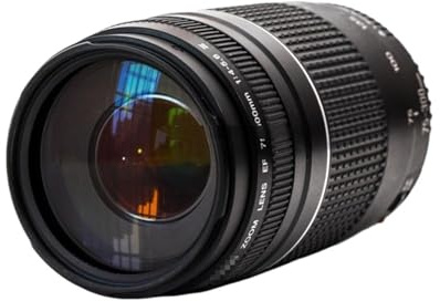 Compatible avec Les appareils Photo Reflex numériques Canon EOS 1300D, 650D, 60D, 70D, 80D, 6D, 5D3, T3i, T5i et T6 : Objectif téléobjectif Zoom EF 75-300 mm F4-5.6 III.