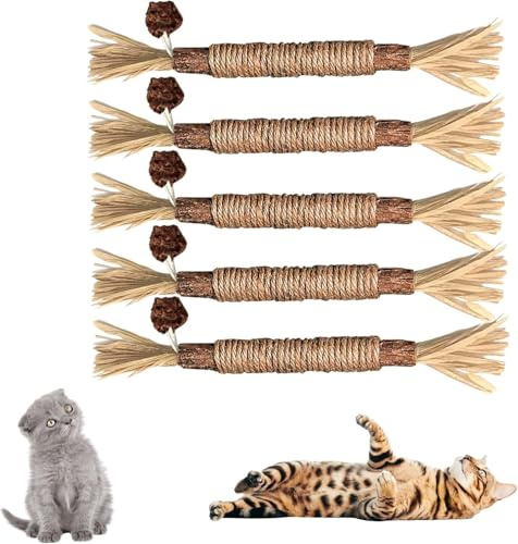 TheGuard 5 Natural Matatabi Silvervine Chew Sticks Catnip Toys Set | All-Natural
