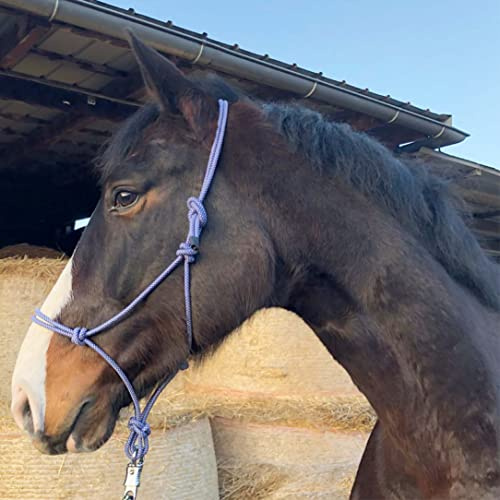 Nudos para trabajos en el suelo caballo – Nudos Cob ideal para trabajos al aire libre, trabajo en el suelo, entrenamiento de conducción o carga (sangre caliente (Full), azul real y blanco)