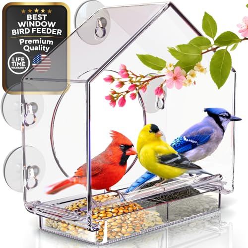 Premium Vogelfutterstation für draußen – transparentes Vogelhaus mit größtem Fenster zum Beobachten von Vögeln Stabiler Futterspender mit extra starken Saugnäpfen –