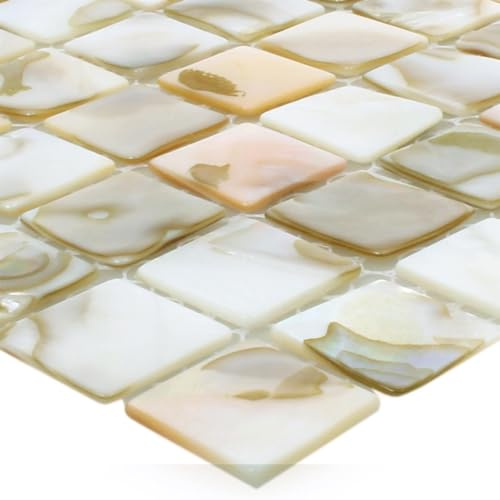 Muschelmosaik Perlmutt Mosaik Fliesen Kordon Hellbeige Bad Dusche Fliesenspiegel
