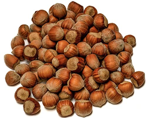 IGART FOOD & WOOD Avellanas con Cáscara Naturales de Polonia Crudas Frescas & Sabrosas Calidad Eco, 10kg