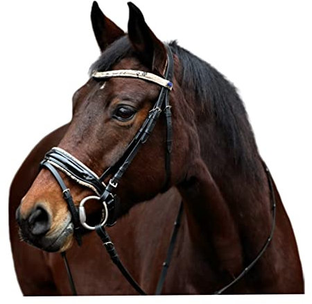 Tysons Breeches Trensenzaum Snake Trense Leder Lack ergonomisch Schwarz Schlangen Optik + Zügel Zaum Schwedisch Umlenkverschnallung VB WB X Full Kaltblut (X Full)