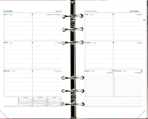 QUO VADIS - 1 Nachfüllpack für Terminplaner 21, horizontales Gitter, 16 Monate September 2025 bis Dezember 2026 – Format 15 x 21 cm