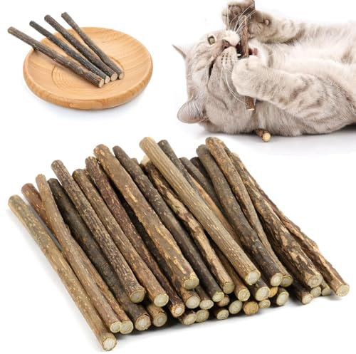 GOTDYBST 35stück Katzenminze Stick, Matatabi Stick Katze, Katzenminze Spielzeug - Natürlich Und Sicher, Kaustäbchen Für Katzen Zur Zahnpflege, Vorbeugung Von Mundgeruch Und Zähneknirschen