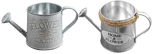 Arrosoir d'intérieur, Lot de 2 arrosoirs en étain rustiques for fleurs, vases à fleurs français, bec verseur for vase à fleurs primitif, seau français, support for cactus, arrosage à domicile