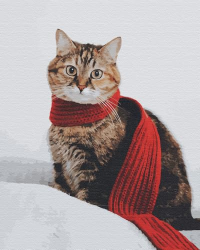 Artnapi Malen nach Zahlen Erwachsene mit Rahmen | DIY Handgemalt | Eine Katze mit rotem Schal im Winter| Kit für Anfänger Erwachsene | Set inklusive Acrylfarben Pinsel | 40x50cm Leinwand | Geschenke