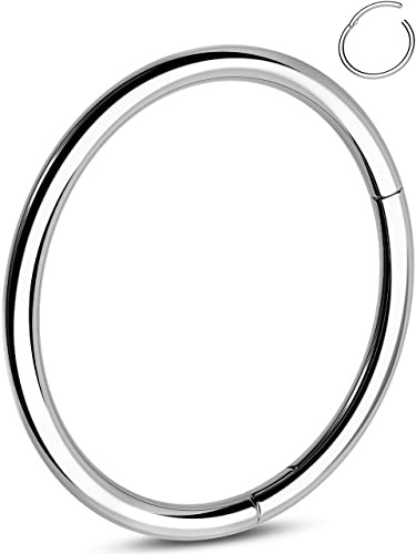 OUFER 20G 0.8mm Nasenpiercing Titan Nasenring Nasen Helix Piercing Hoop Nase Nostril Stecker Nasenstecker Schmuck Rook Tragus Conch Daith Earring Frauen Männer 6 8 10mm