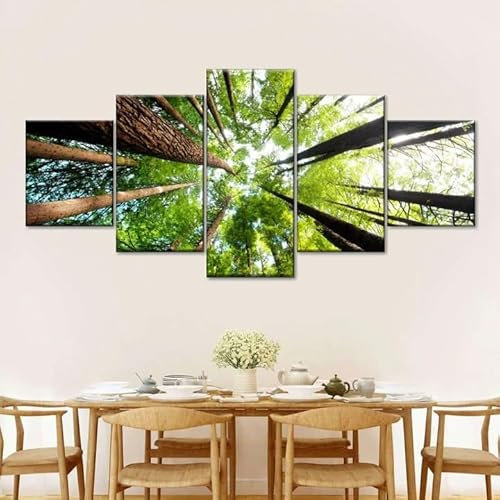 MOCHAMIK Leinwand Bilder 5 Teilig Uralter kalifornischer Mammutbaum Wandbilder Wohnzimmer Modern Bilder, Poster, Kunstdrucke Büro Flur Bad Küchebilder -Ungerahmt