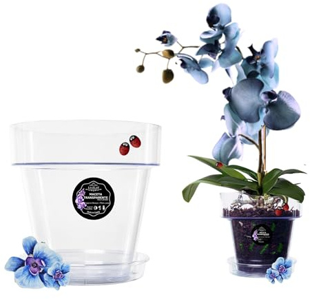 LiveLaif - Maceta orquidea Transparente Redonda Ø17 cm + Plato | Maceta Transparente orquidea | Agujeros Drenaje, Efecto Vidrio | Maceta para orquídeas | Hecha en España-Modelos a Elegir
