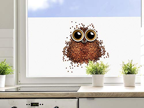 GRAZDesign Fensterfolie Küche Blickdicht Kaffee Eule Motiv Sichtschutzfolie selbstklebend - 70x57cm / Kaffee mit Eule