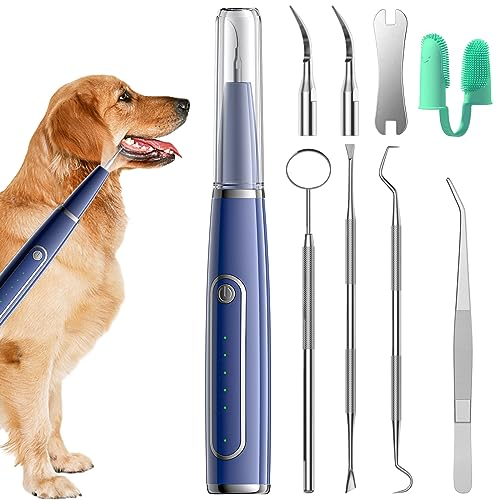 Detartreur Dentaire Ultrason, 5 modes de nettoyage anti-tartre nettoyage des dents de chien, Kits Dentaires des dents contre le tartre, la mauvaise haleine et la gingivite, pour humain/chien/chat