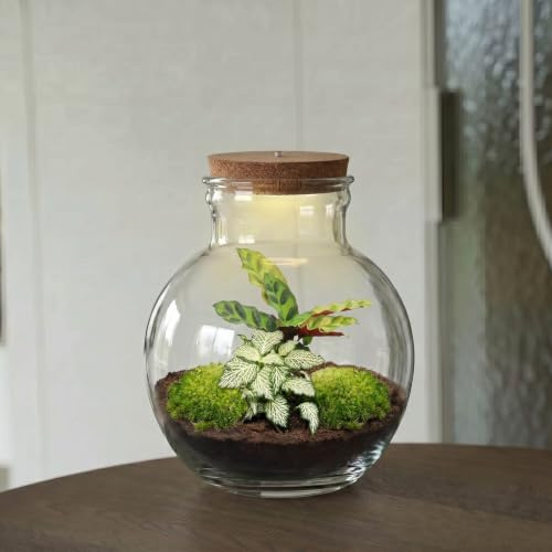 urbanjngl - Teddy Pflanzen Terrarium mit Licht - DIY Kit für EIN grünes Ökosystem - Durchmesser 25 cm, Höhe 26,5 cm - Ideal für Pflanzenliebhaber und Dekoration