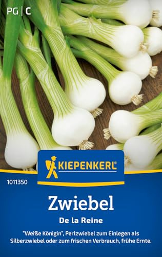 Kiepenkerl Zwiebelsamen De la Reine 1011350, Gemüsesaat | Wuchshöhe 30-40 cm, Inhalt für 4-6 laufende Meter, aromatisch