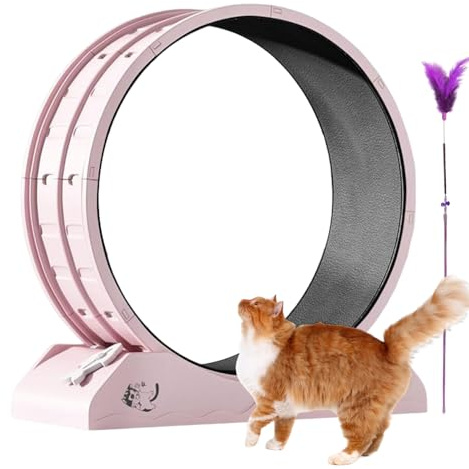Katzenlaufrad Für Fitness Und Aktivität - Fitnessgerät Für Kleine Kitten - Große Katzen Trainingsrad, Interaktives Kitten Laufband Für Innenbereich Robust