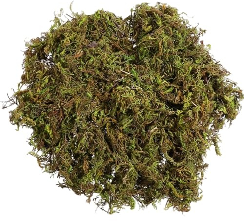 JORcadis Fake Moss, 60g Realistic Fake Moss for DIY Projects, Artificial Mosses for Crafts, Olive Green Decor, Home Decoration, Floral Arrangements