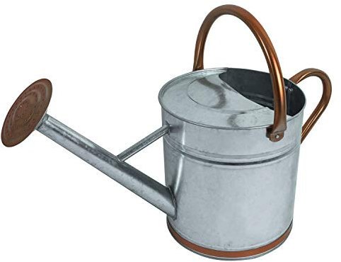 Woodside Silver 9L Metal Garden and Plant Watering Can with Rose